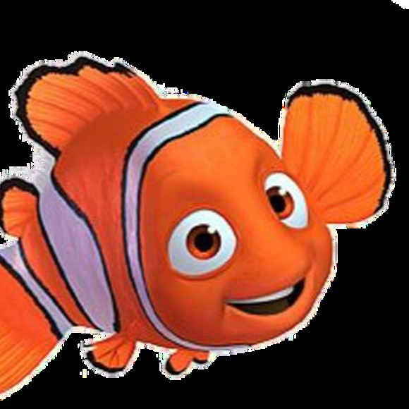 Meet your Posher, Jake - Picture 1 of 1